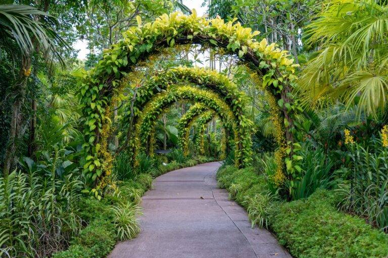 footpath-beautiful-arch-flowers-plants_181624-16890